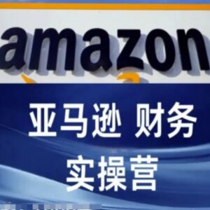 亚马逊财务核算实操营教程 跨境电商财务全流程干货教学-雨叶虚拟资源网