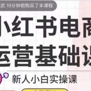 小红书电商运营实操基础课 新人小白入门全流程系统教程-雨叶虚拟资源网