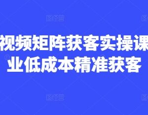 2025AI短视频矩阵获客实操课 企业低成本精准获客全教程-雨叶虚拟资源网