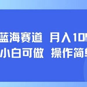 适合小白操作的小众蓝海低门槛副业 每天仅需30分钟可月入过万-雨叶虚拟资源网