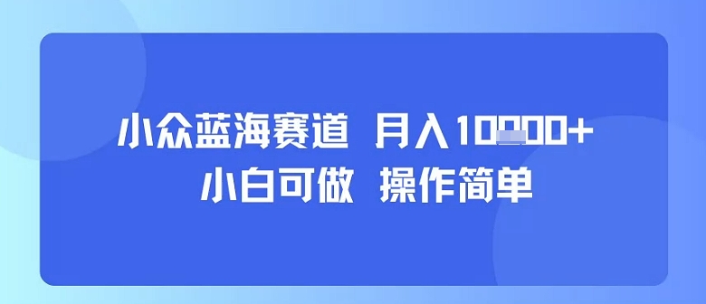 适合小白操作的小众蓝海低门槛副业 每天仅需30分钟可月入过万