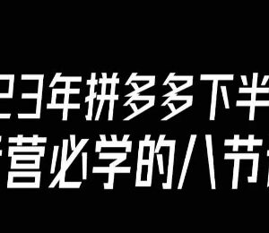 2023下半年拼多多运营必学课 8节核心内容共18节完整版-雨叶虚拟资源网