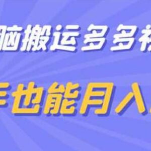 多多视频无脑搬运带货玩法拆解 新手零门槛可上手月入过万-雨叶虚拟资源网
