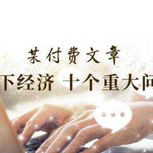 付费文章《当下经济十个重大问题》 覆盖全维度大众关注经济核心话题-雨叶虚拟资源网