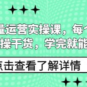私域流量运营全流程实操课 从底层逻辑到落地案例干货教程-雨叶虚拟资源网