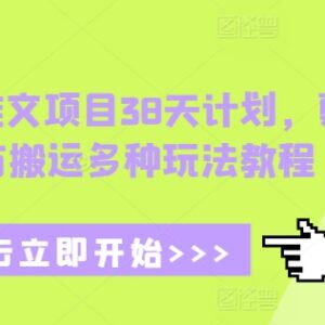 小说推文38天项目实操教程 剪辑搬运多种玩法全解析-雨叶虚拟资源网