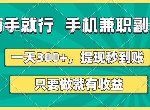 0门槛手机正规兼职副业实测 操作简单收益稳定提现秒到-雨叶虚拟资源网