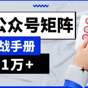 AI流量主系统基础版1.0课程 GPT+公众号矩阵实战教学手册-雨叶虚拟资源网