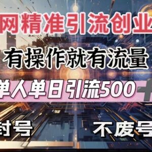 2025实用创业粉引流方法 单人单日可引流500+不封号不费号-雨叶虚拟资源网