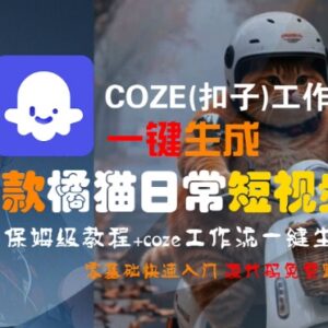 COZE(扣子)工作流一键生成橘猫爆款短视频 零基础保姆级实操教程-雨叶虚拟资源网