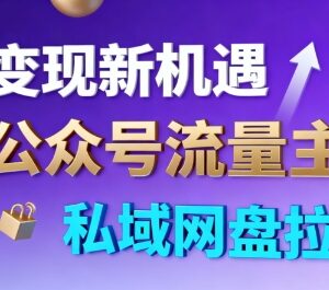 公众号流量主结合私域网盘拉新 双变现新手副业操作当天有收益-雨叶虚拟资源网