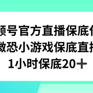 视频号微恐小游戏直播副业项目揭秘 兼职1小时收益可达20+-雨叶虚拟资源网