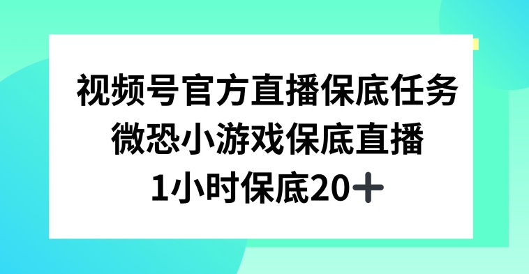 视频号微恐小游戏直播副业项目揭秘 兼职1小时收益可达20+