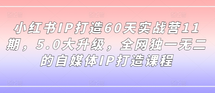 小红书IP打造60天实战营11期 5.0升级版自媒体IP打造课程