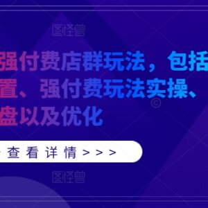 拼多多强付费店群玩法详解 含基础设置实操复盘优化全流程-雨叶虚拟资源网