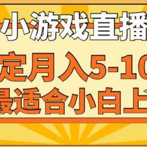 寒假低门槛副业推荐：快手小游戏直播项目 小白易上手月入可达10万-雨叶虚拟资源网