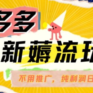 2024拼多多无付费推广纯自然流玩法 差异化选品零成本赚收益-雨叶虚拟资源网