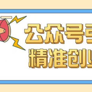 0基础可上手的公众号引流创业粉玩法 流量获取实操指南-雨叶虚拟资源网