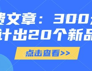300元设计20款新品实操教程 低成本打造差异化独立产品指南-雨叶虚拟资源网
