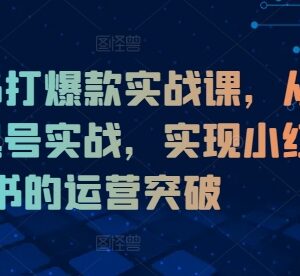 小红书从0到1起号实战课 系统掌握运营方法打造爆款内容-雨叶虚拟资源网