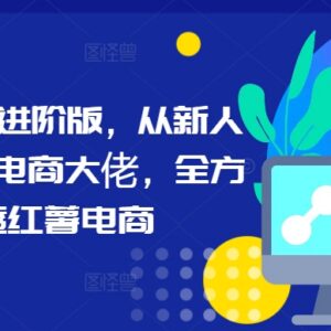 小红书电商从新人入门到进阶高手全链路运营实操指南-雨叶虚拟资源网