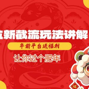 2025拉新截流玩法详细讲解 年前平台福利期增收实操指南-雨叶虚拟资源网