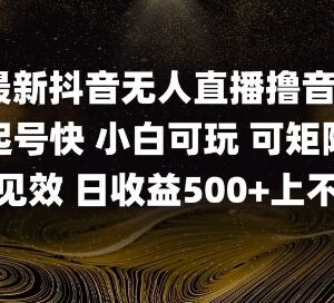 2025年5月最新抖音无人直播撸音浪单日500+实操教程-雨叶虚拟资源网