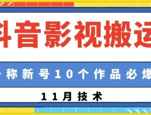 2024抖音影视搬运实操教程 新号发10个作品易起号操作指南-雨叶虚拟资源网
