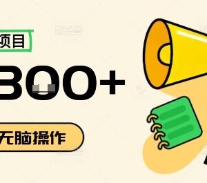 小红书抄书项目怎么操作 零门槛业余时间搬砖赚钱教程-雨叶虚拟资源网