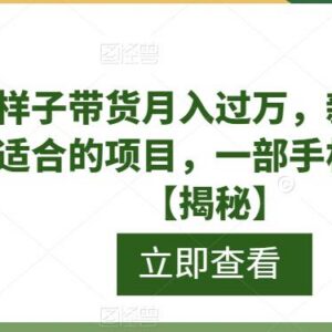 新手可做低门槛视频带货项目 一部手机操作即可实现月入过万-雨叶虚拟资源网