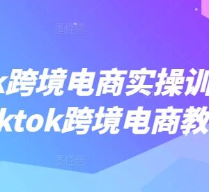 2025TikTok跨境电商实操训练营 从入门到落地全流程教程-雨叶虚拟资源网