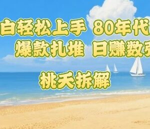 适合普通人小白上手的80后童年回忆内容项目 低门槛高收益易出爆款-雨叶虚拟资源网