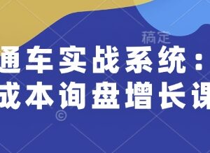 直通车实战系统课程 个人运营提能升职 企业低成本询盘获客教程-雨叶虚拟资源网