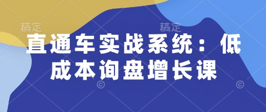 直通车实战系统课程 个人运营提能升职 企业低成本询盘获客教程