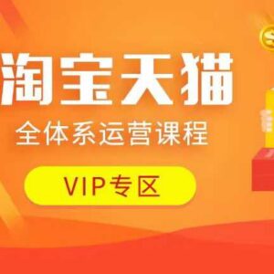 2025淘宝天猫全体系运营课 含动销推广流量提升玩法附资料-雨叶虚拟资源网