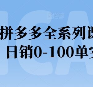 2024拼多多全系列实操运营课程 新手从0到日销百单实操指南-雨叶虚拟资源网