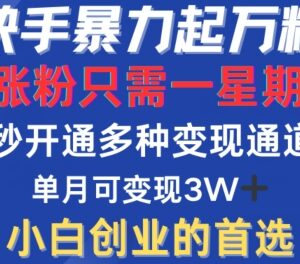 快手一周涨万粉实操教程 多变现模式及跨平台账号运营方法-雨叶虚拟资源网