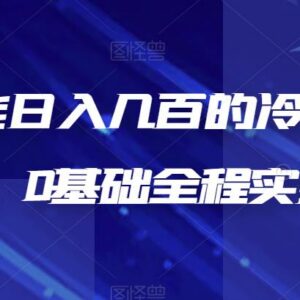 0基础可操作冷门DIY项目详解 新手入门长期变现玩法指南-雨叶虚拟资源网
