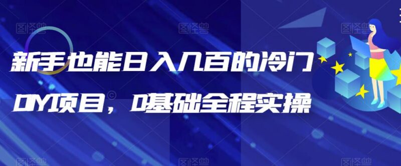 0基础可操作冷门DIY项目详解 新手入门长期变现玩法指南