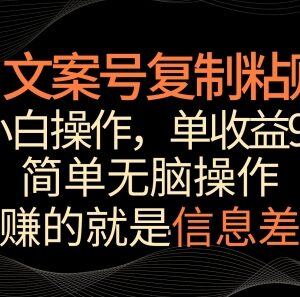文案号掘金小白实操教程 复制粘贴玩法单作品收益可达900+-雨叶虚拟资源网