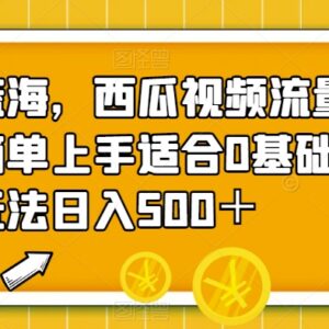 西瓜视频0基础流量掘金项目 搞笑短视频剪辑变现操作教程-雨叶虚拟资源网