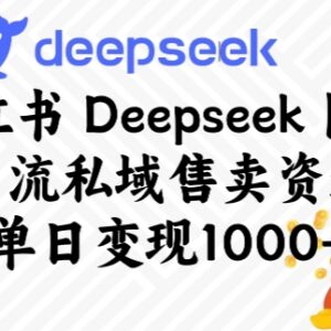 小红书Deepseek图文引流私域售卖资料实操方法 单日可变现超千元-雨叶虚拟资源网