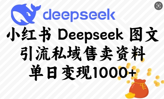 小红书Deepseek图文引流私域售卖资料实操方法 单日可变现超千元