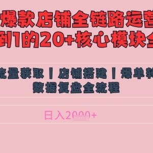 小红书店铺精细化运营教程 爆款笔记涨粉变现核心逻辑拆解-雨叶虚拟资源网
