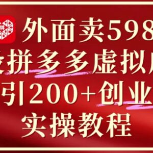 拼多多虚拟店铺实操运营教程 单日引流200+创业付费粉攻略-雨叶虚拟资源网