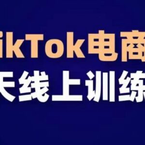 TikTok电商带货30天线上课 从0到1掌握海外流量运营全流程-雨叶虚拟资源网