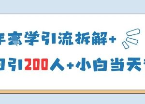 2025年国学引流玩法拆解 小白可操作单日引流200人当天变现-雨叶虚拟资源网
