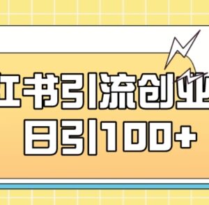 小红书引流创业粉实操方法 小白易上手可矩阵操作日引100+-雨叶虚拟资源网