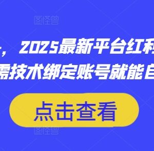 2025年最新平台红利网赚项目 无本金无技术绑定账号即可创收-雨叶虚拟资源网