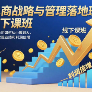 2025电商战略与管理落地班实操课 助力企业业绩利润双向倍增-雨叶虚拟资源网